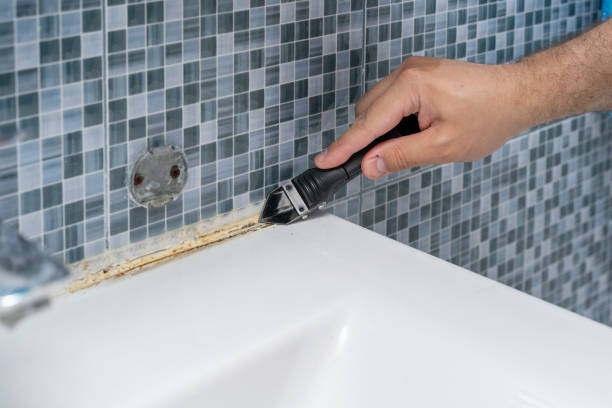 Best Residential Mold Remediation in Logan Elm Village, OH