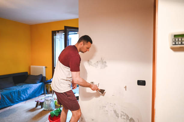 Best Insurance-Related Mold Remediation in Logan Elm Village, OH